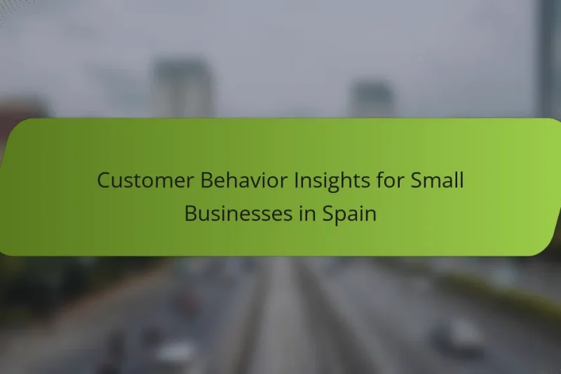 Customer Behavior Insights for Small Businesses in Spain