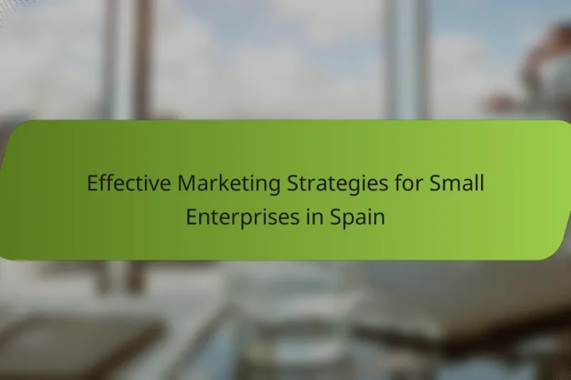 Effective Marketing Strategies for Small Enterprises in Spain
