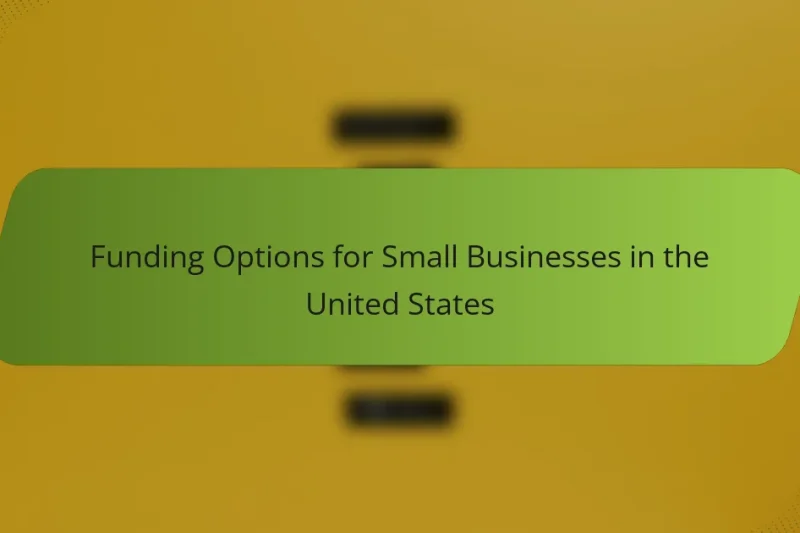 Funding Options for Small Businesses in the United States