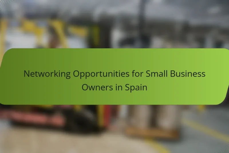 Networking Opportunities for Small Business Owners in Spain