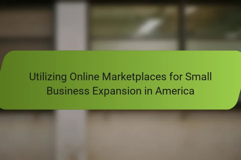 Utilizing Online Marketplaces for Small Business Expansion in America