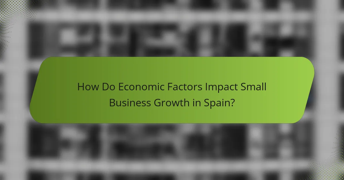 How Do Economic Factors Impact Small Business Growth in Spain?
