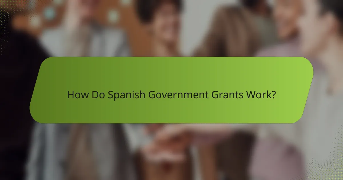 How Do Spanish Government Grants Work?