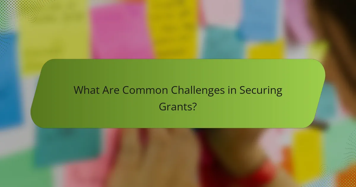 What Are Common Challenges in Securing Grants?