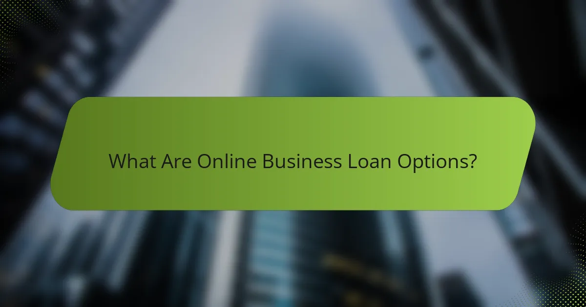What Are Online Business Loan Options?