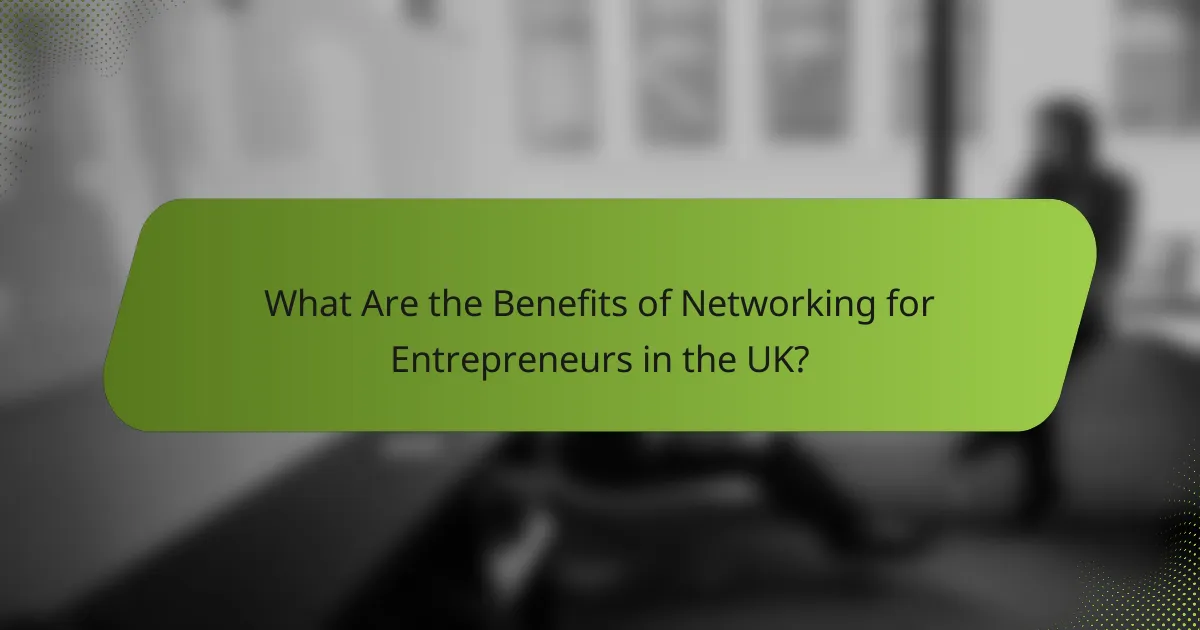 What Are the Benefits of Networking for Entrepreneurs in the UK?