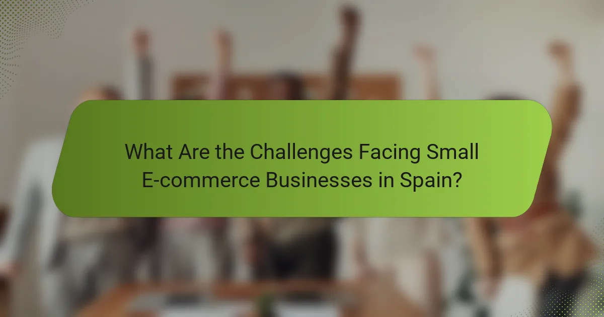 What Are the Challenges Facing Small E-commerce Businesses in Spain?