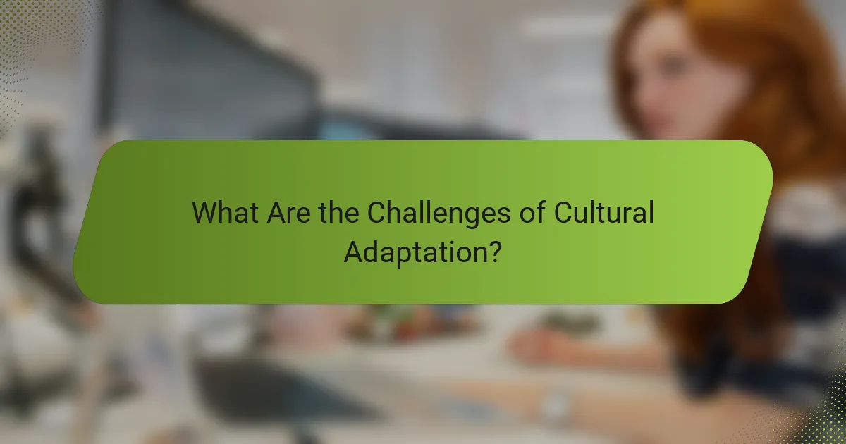 What Are the Challenges of Cultural Adaptation?
