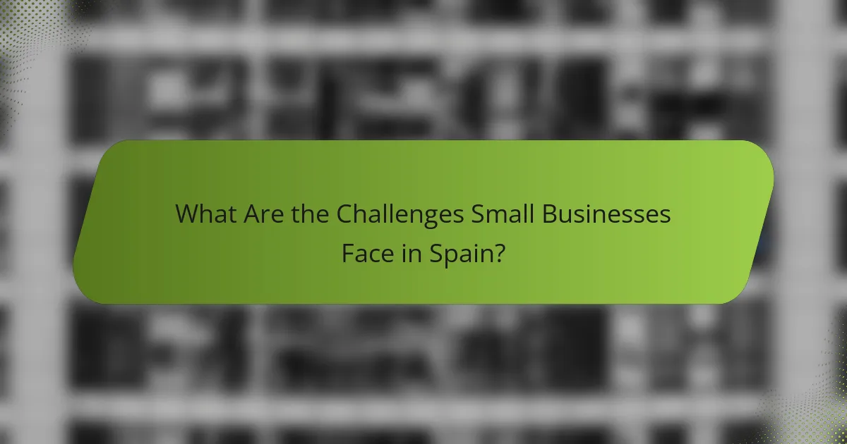 What Are the Challenges Small Businesses Face in Spain?