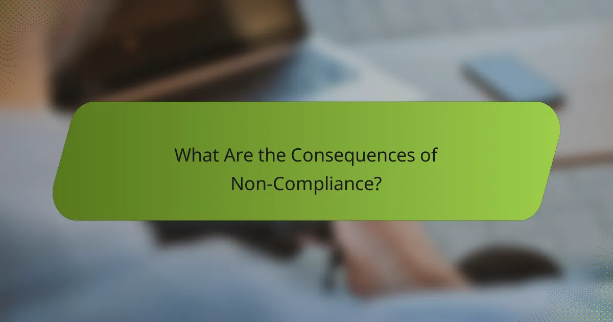 What Are the Consequences of Non-Compliance?