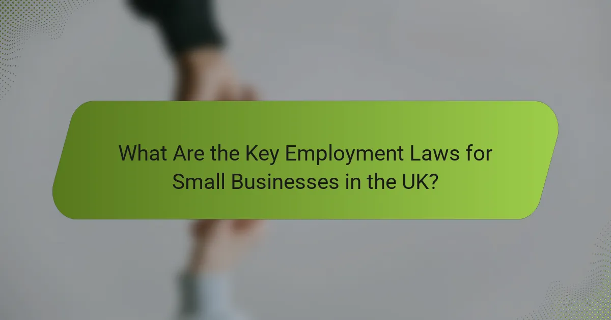 What Are the Key Employment Laws for Small Businesses in the UK?