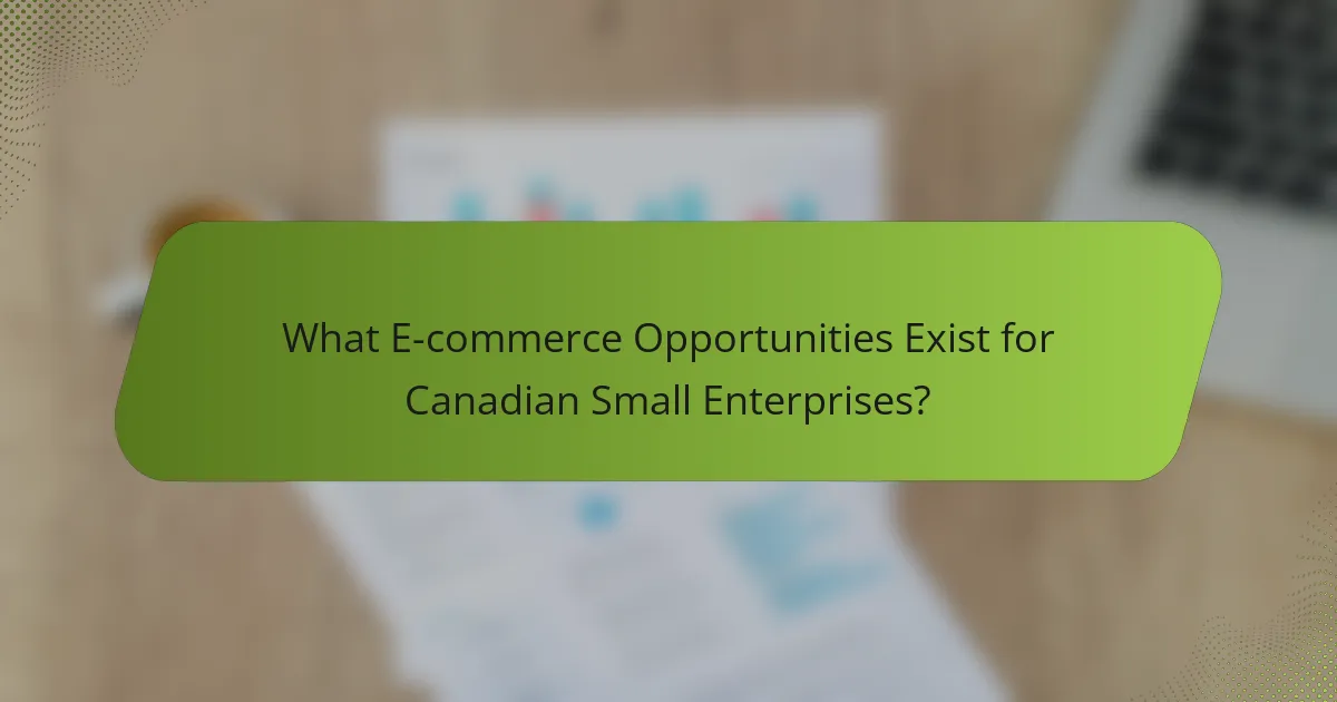 What E-commerce Opportunities Exist for Canadian Small Enterprises?