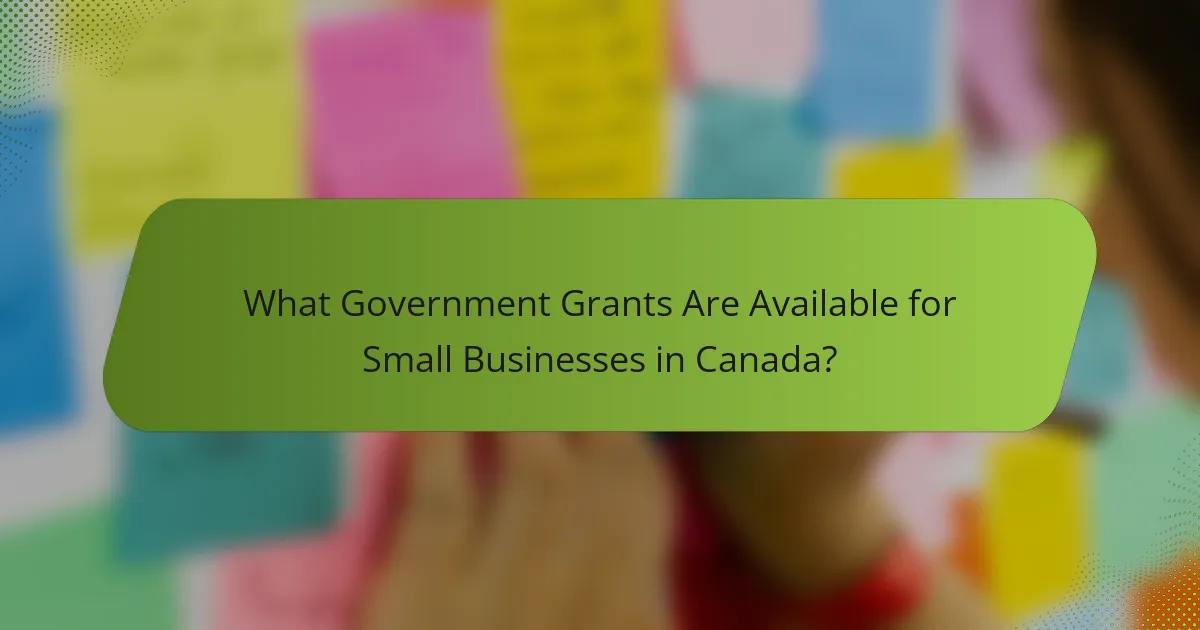 What Government Grants Are Available for Small Businesses in Canada?