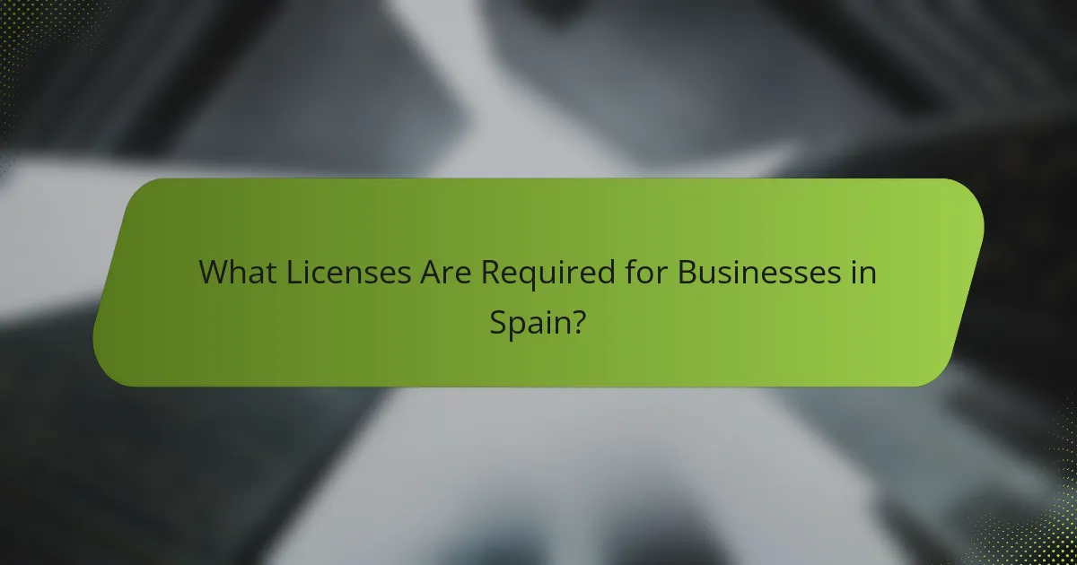 What Licenses Are Required for Businesses in Spain?